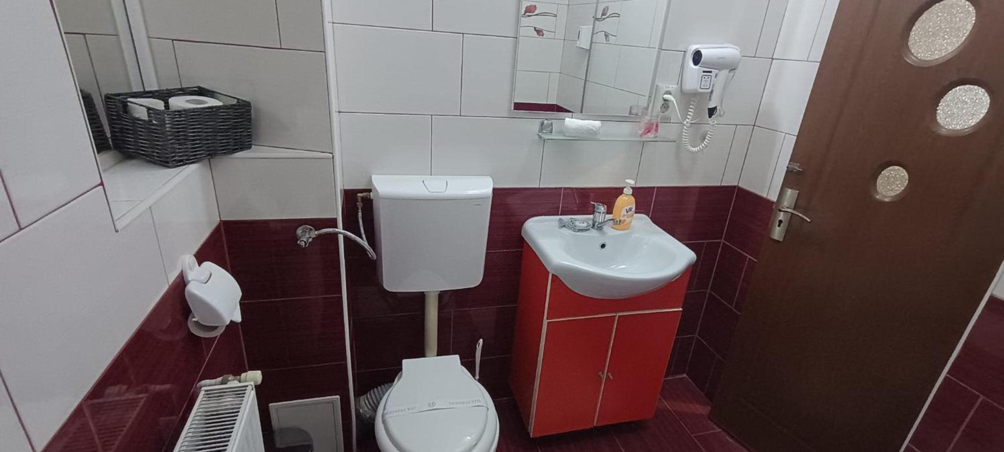 Charter Apartments Costea Sibiu Luaran gambar